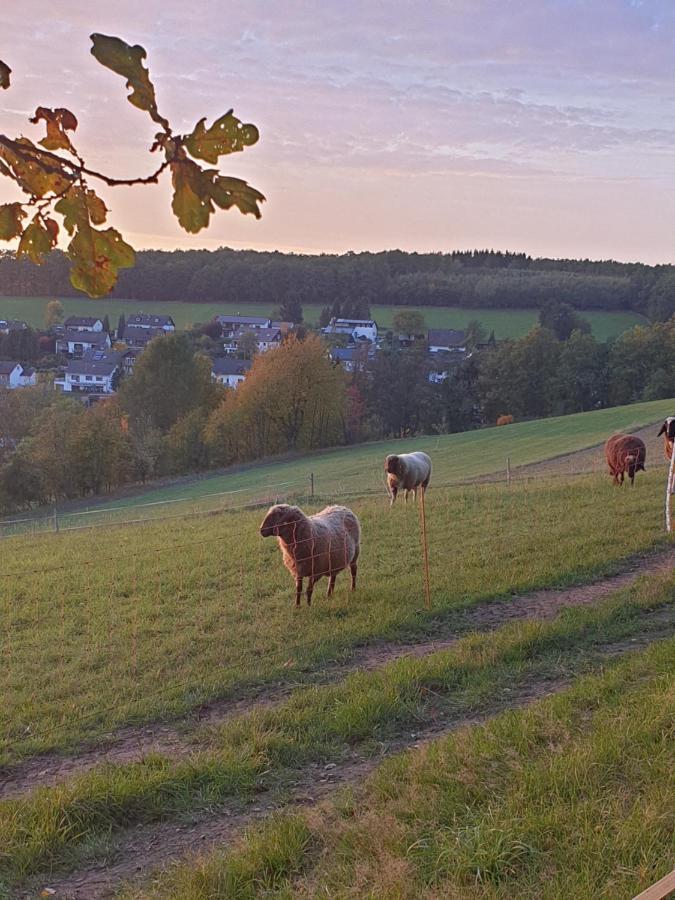 Andinas Ferienwohnung In Ruhiger Lage Direkt Am Wald Wilnsdorf Luaran gambar
