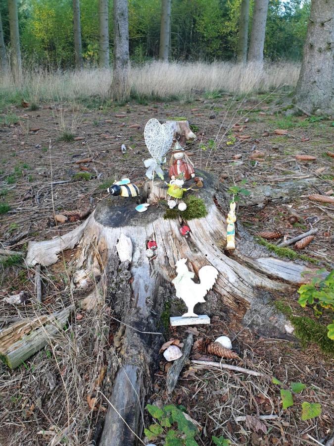 Andinas Ferienwohnung In Ruhiger Lage Direkt Am Wald Wilnsdorf Luaran gambar